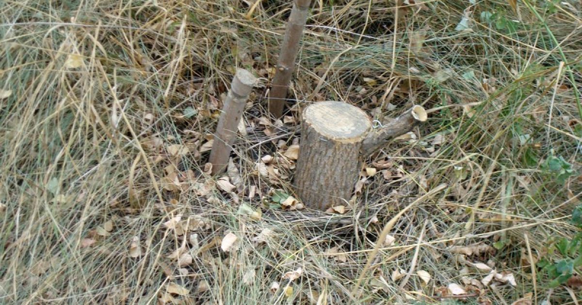Под Мариуполем разминировали "адское поле" / © Минобороны Украины