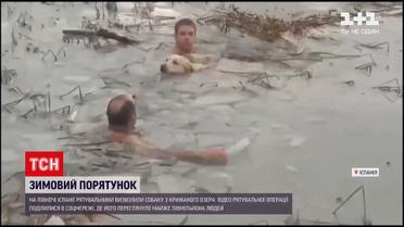 Новини світу: в Іспанії поліція витягла з замерзлого озера собаку