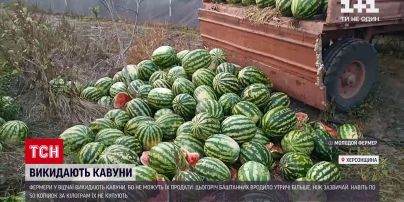 Новини України: фермери у Херсонській області у відчаї викидають кавуни