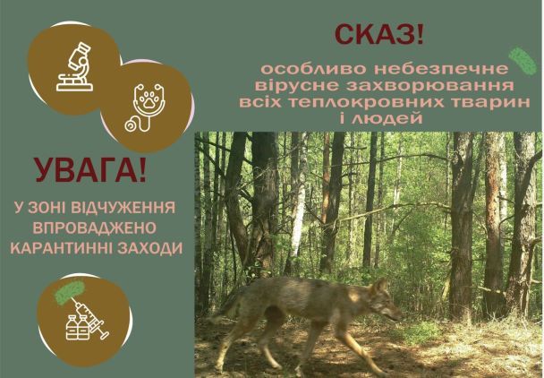 В зоне отчуждения внедрен карантин из-за бешенства/Коллаж: Facebook/Государственное агентство Украины по управлению зоной отчуждения