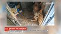 На Луганщині батьки прив'язали 6-річного сина металевим ланцюгом до вхідних дверей