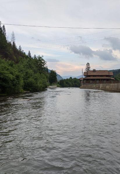 Жденієво