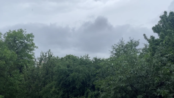 Скриншот с видео