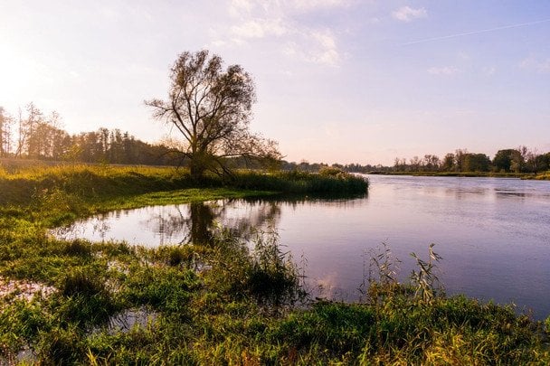 27 вересня святкують Всесвітній день річок / © pexels.com
