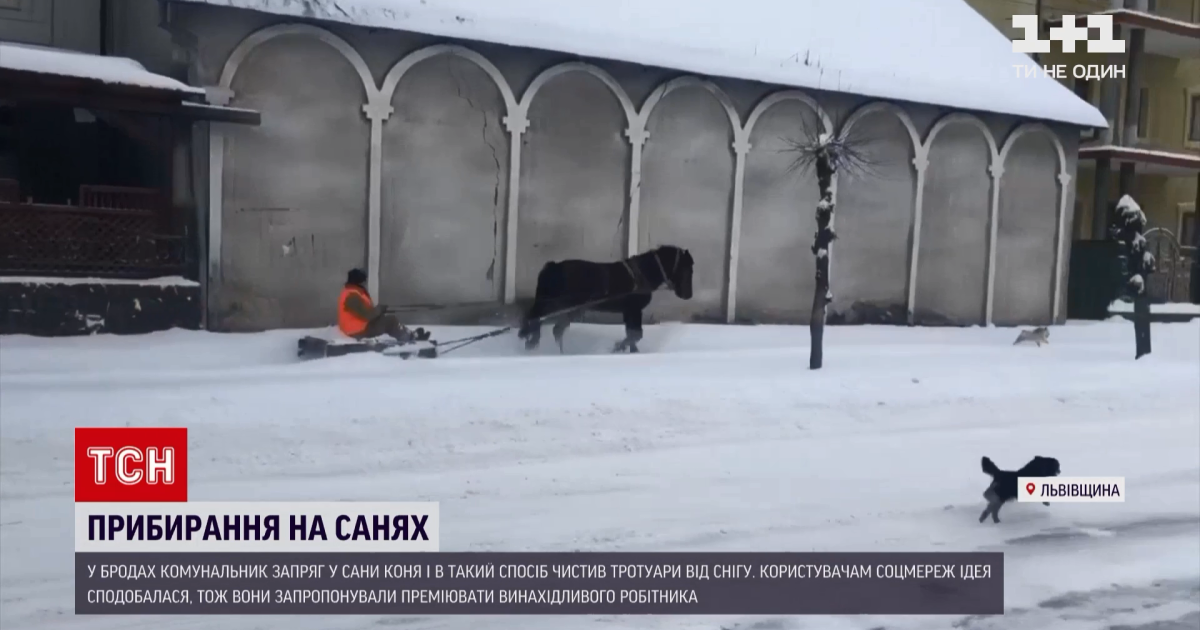 Во Львовской области коммунальщик запряг лошадь и на санках расчищал улицу: видео
