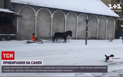 У Львівській області комунальник запряг коня і на санях розчищав вулицю: відео