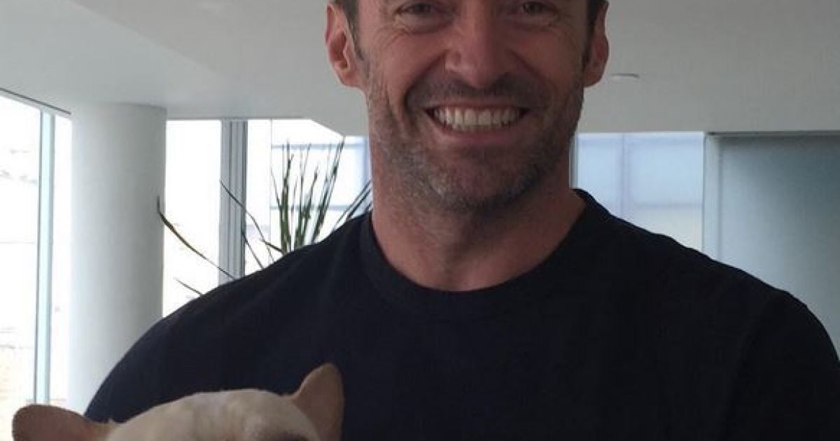 Хью Джекман/Инстаграм Хью Джекман