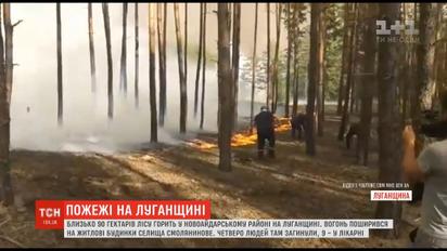 Масштабні пожежі у лісах Луганської області: полум’я знищило десятки будинків, є жертви