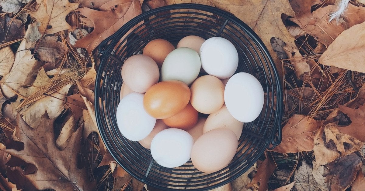 Навіщо замочувати яєчну шкаралупу в оцті