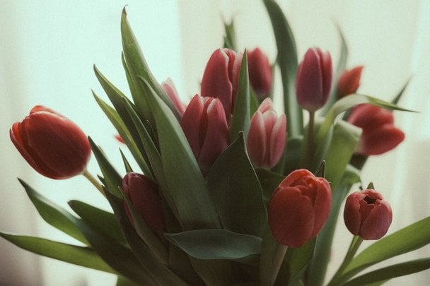 День ангела 20 квітня — душевні привітання в прозі / © pexels.com