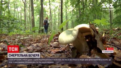Новини України: в Вінницькій області 5 дітей отруїлися грибами - дві дівчинки померли у лікарні