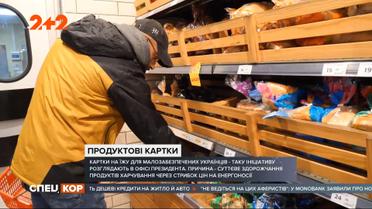 В Украине рассматривают возможность введения карточек на еду для малообеспеченных украинцев