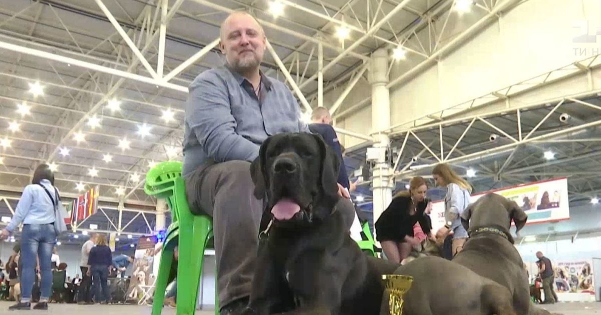 Случайный яд и "закрытые" супермаркеты. Владельцы рассказали о проблемах больших собак в городе