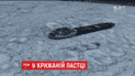 У Румунії в льодовій пастці посеред Дунаю опинився корабель