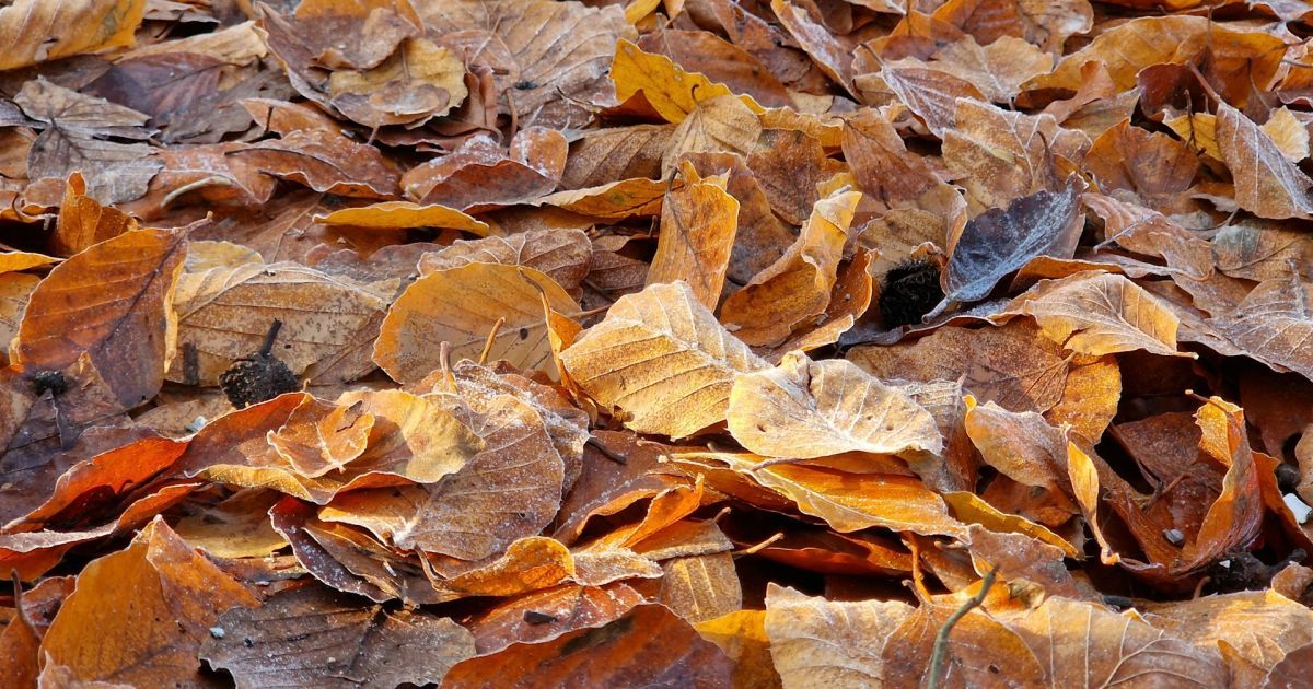 Прогноз погоды на завтра.