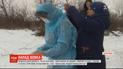 У Запоріжжі досліджують, чи не був вовк, що напав на людей, хворим на сказ