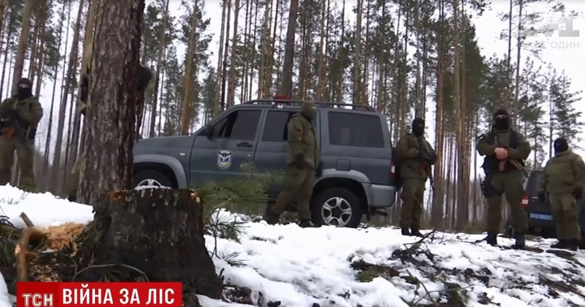 Битва за лес: на Житомирщине спецназ со стрельбой задержал с поличным черных лесорубов