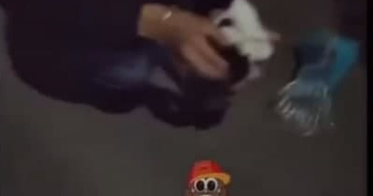 "Матерная, но правильная молодежь": в Белой Церкви подростки спасли новорожденных котят (видео)