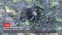 Новини з фронту: окупаційні війська півтора десятка разів відкривали вогонь по українських військових