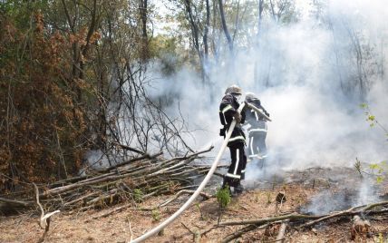 В Киеве и области предупредили о высоком уровне пожарной опасности