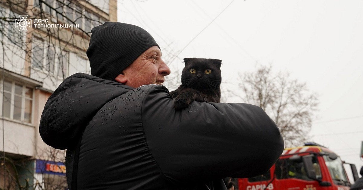 Рятувальники у Тернополі повернули господарям двох котів після вибуху