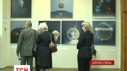 В Днепропетровске открылась выставка немецких ученых на грани науки и искусства