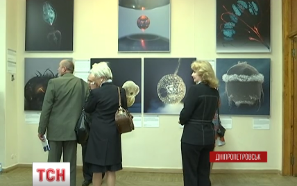 Глаз эмбриона рыбы и мозг мухи: в Днепропетровске открылась удивительная выставка
