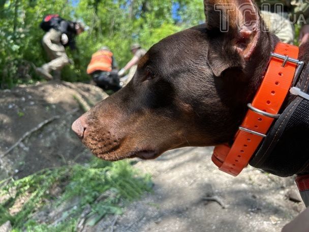 Ханна. / © Фото Наталії Нагорної/ТСН