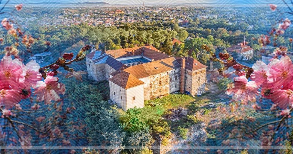 Секретный Ужгород — не только сакуры и вино, но и...