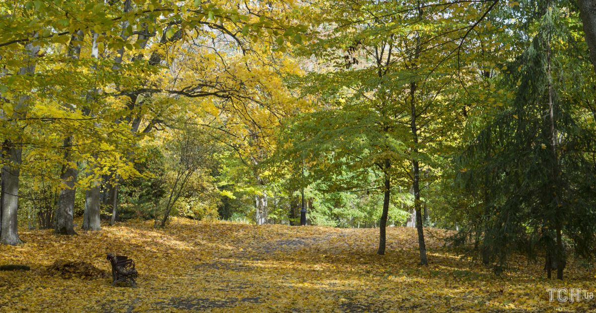 Гороскоп на 29 октября для всех знаков Зодиак
