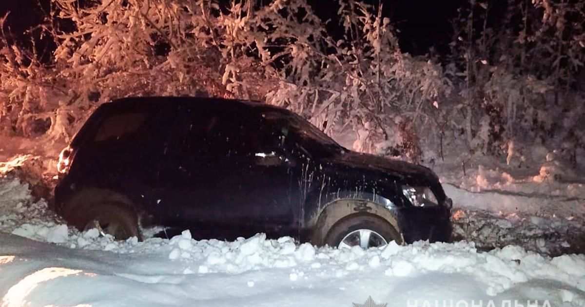 В Черновицкой области трое юношей избили водителя на остановке и угнали его кроссовер: фото