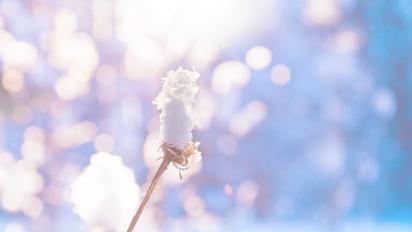 Зимовий пейзаж