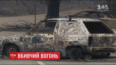 Найсильніші за останні півстоліття лісові пожежі у Португалії забрали життя десятків людей