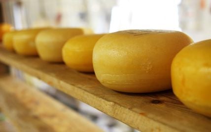 Гастротур Винницкой областью: в селе Муховцы изготавливают сыр и йогурты по израильским стандартам