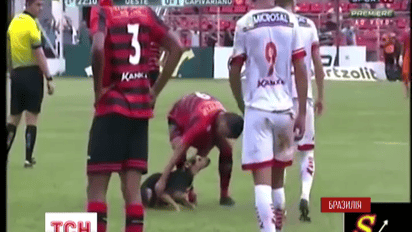 Дворовая собака выбежал на футбольное поле во время матча бразильских команд
