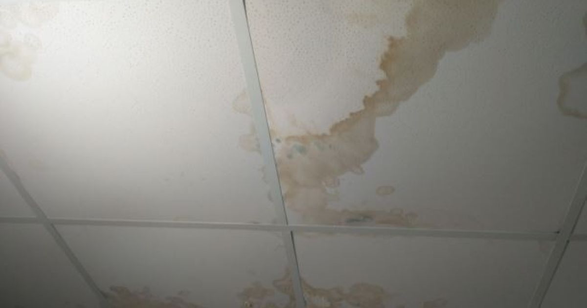 психдиспансер під Одесою_2 / © Радио Свобода