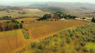 Маєтки Медведєва _3 / © Сайт Алексеея Навального