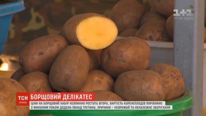 Стоимость овощей выросла более чем треть по сравнению с прошлым годом