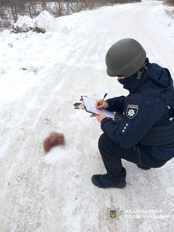 Наслідки атаки на Вертіївку на Чернігівщині / © Голова Чернігівської ОВА В'ячеслав Чаус