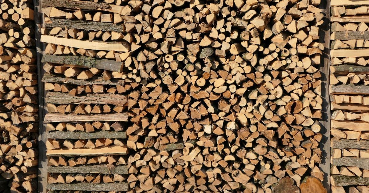 В Україні запрацював державний інтернет-магазин з продажу дров для населення