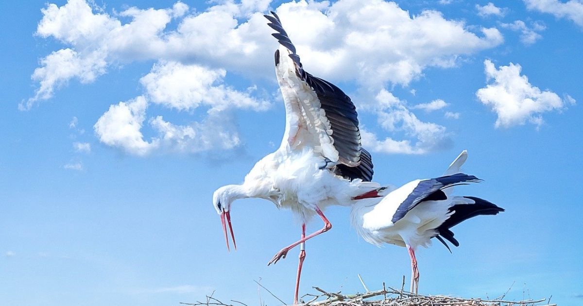 Хлам под кроватью примета