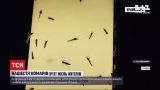 Новини світу: окупований Крим атакували комарі
