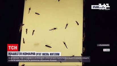 Новости мира: оккупированный Крым атаковали комары