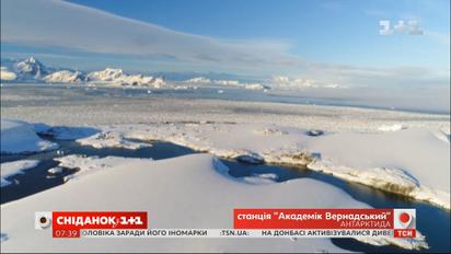 Полярник Игорь Дикий о жизни в Антарктиде и климатических изменениях