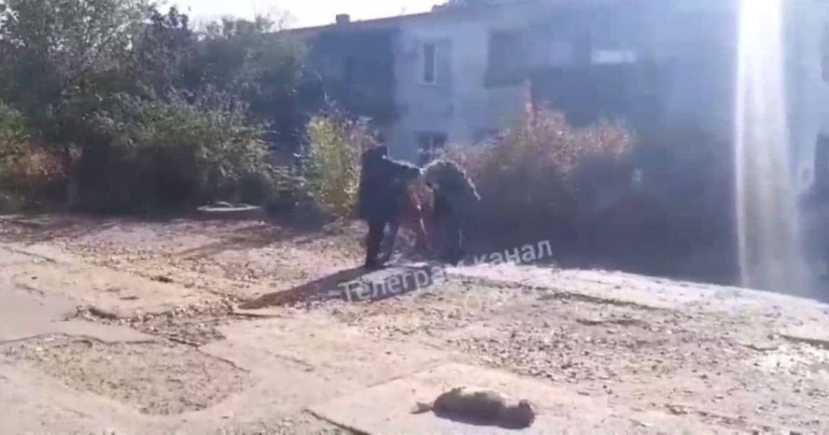 Под Одессой женщины избили водителя, который сбил собаку и хотел уехать (видео)