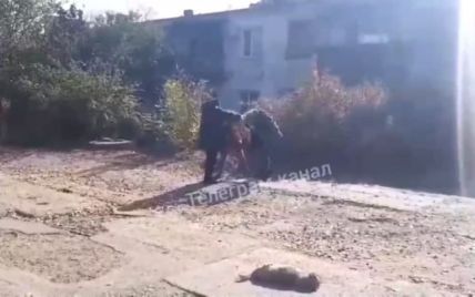 Під Одесою жінки відлупцювали водійку, яка збила собаку і хотіла втекти (відео)
