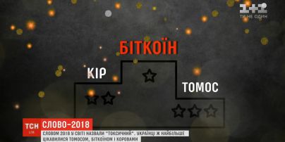 Слово-2018: о чем спрашивали, чем интересовались люди во всем мире