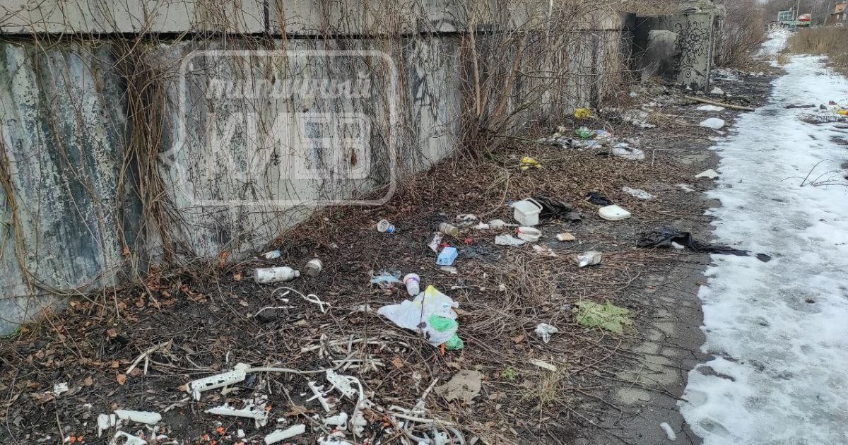 У Києві оприлюднено фото Либіді, що перебуває у жахливому стані / © Типичный Киев / Facebook