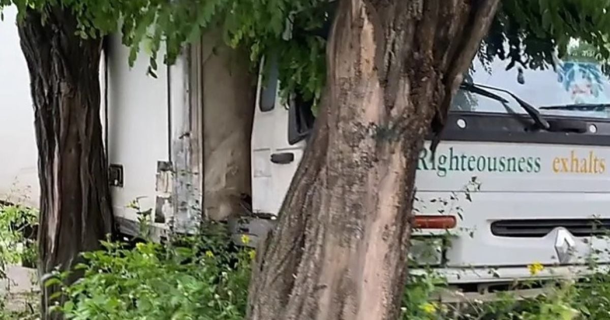 Отказали тормоза: в Николаеве водитель грузовика сбил женщину и влетел в дерево (видео)