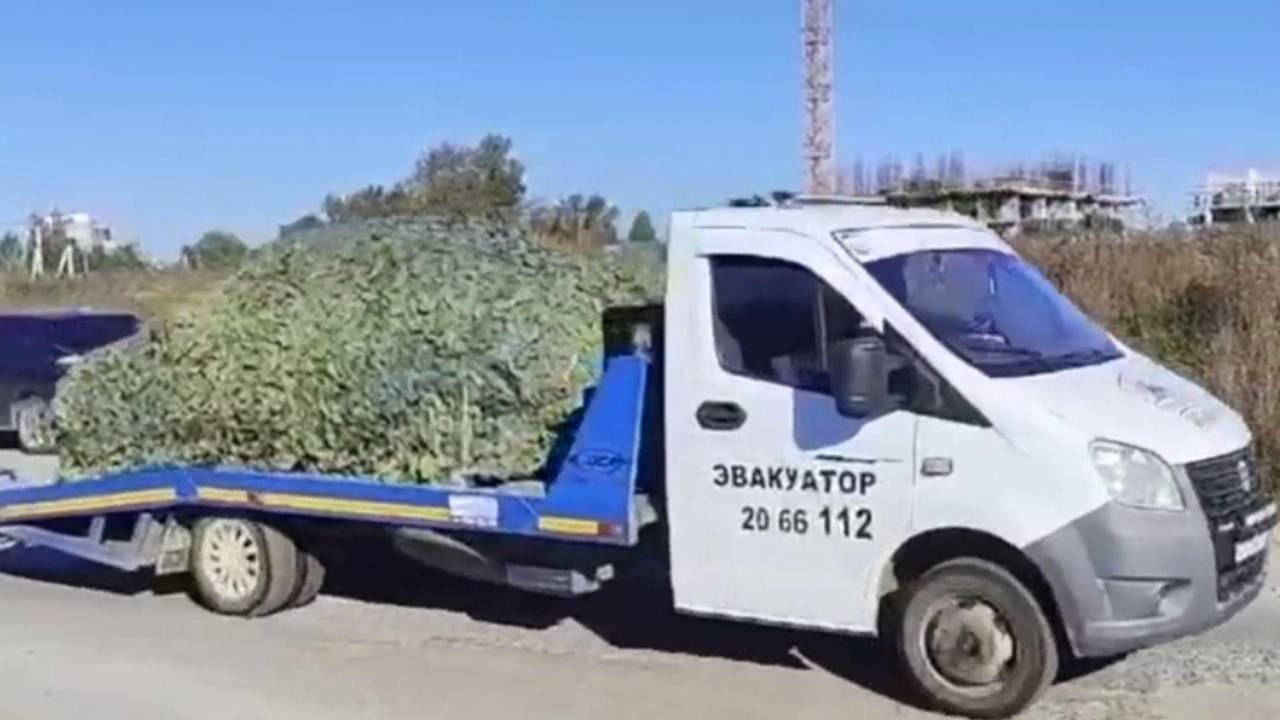 Фото з місця вибуху біля КПП військової частини Росгвардії / Фото: ГУР Міноборони України / © 